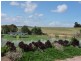 Lot 378 The Glen Road, Murray Bridge SA 5253
