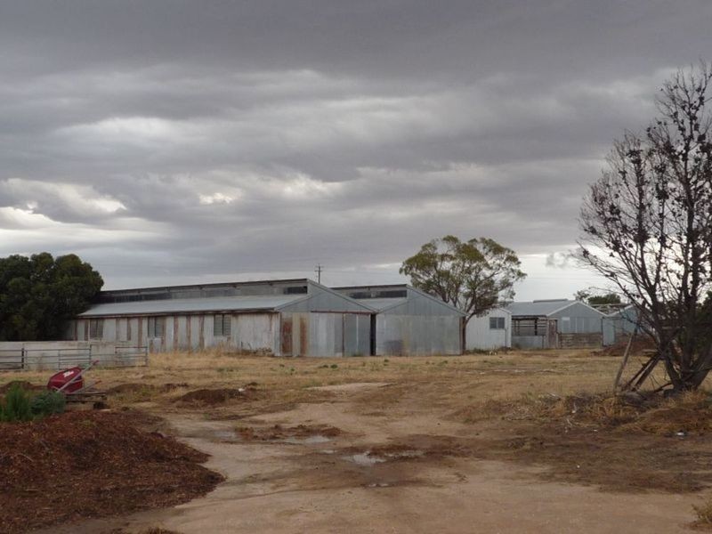 Lot 378 The Glen Road, Murray Bridge SA 5253