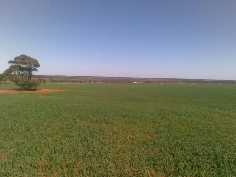 Sec 190 Cnr Sedan Road & Blanchetown Road, Sedan SA 5353