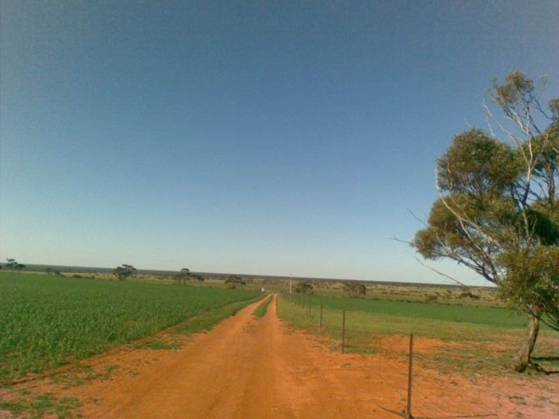Sec 190 Cnr Sedan Road & Blanchetown Road, Sedan SA 5353
