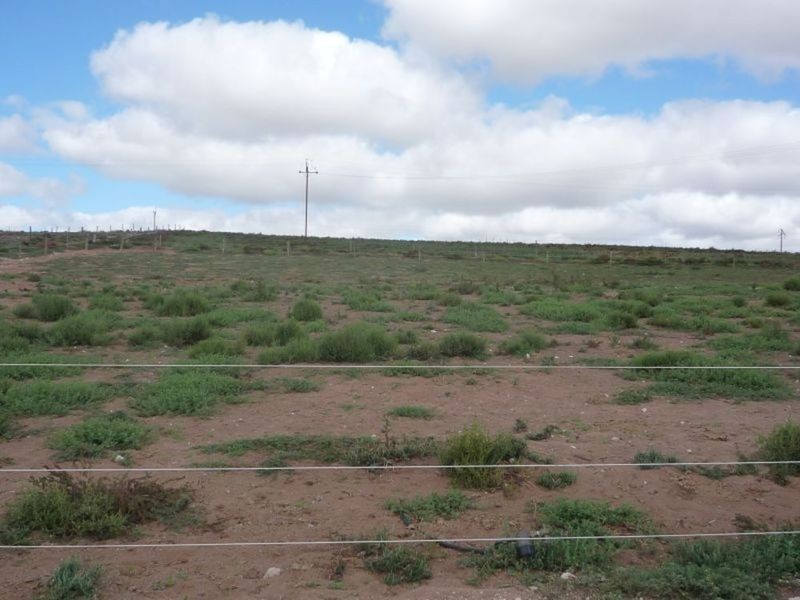 914 Jervois Road, Murray Bridge SA 5253