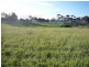 Lot 1 Warrigal Avenue, Murray Bridge SA 5253