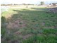 Lot 1 Warrigal Avenue, Murray Bridge SA 5253