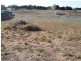 Lot 1 Warrigal Avenue, Murray Bridge SA 5253