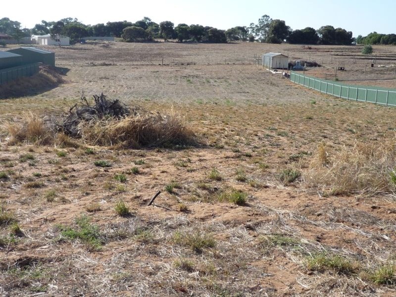 Lot 1 Warrigal Avenue, Murray Bridge SA 5253