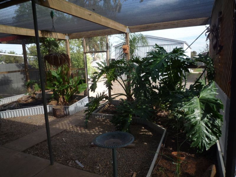 1 Kelly Avenue, Murray Bridge SA 5253