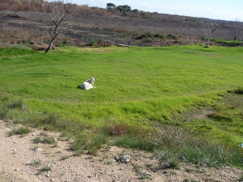 Lot 8 Princes Highway, Tailem Bend SA 5259