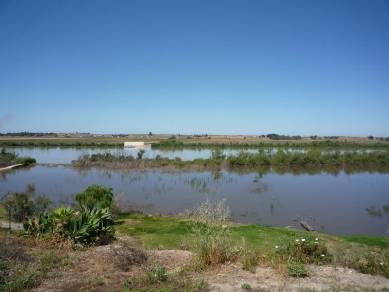 Lot 8 Princes Highway, Tailem Bend SA 5259