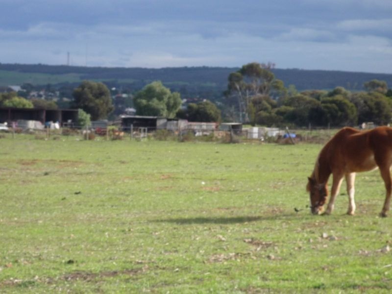 85 Thiele Road, Murray Bridge SA 5253