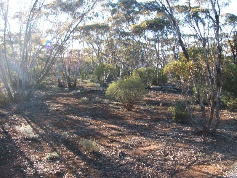Lot 11 Of Fisher, Sedan SA 5353