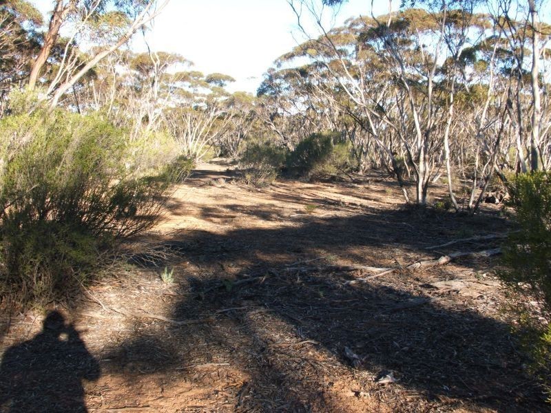 Lot 11 Of Fisher, Sedan SA 5353