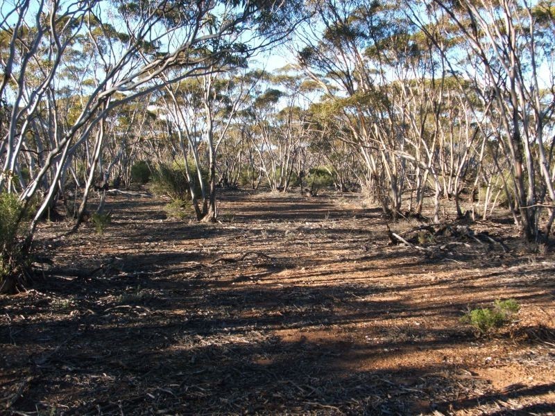 Lot 11 Of Fisher, Sedan SA 5353