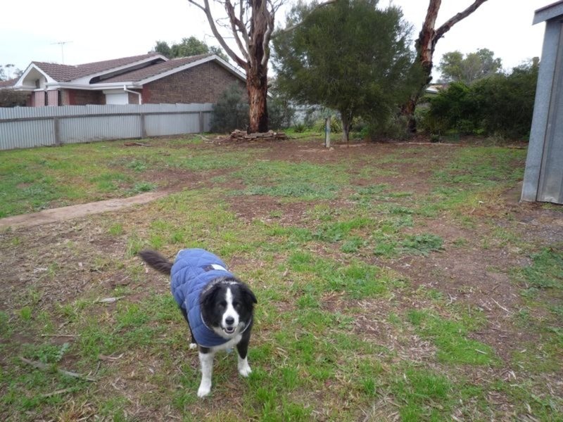 10 Anerley Road, Murray Bridge SA 5253