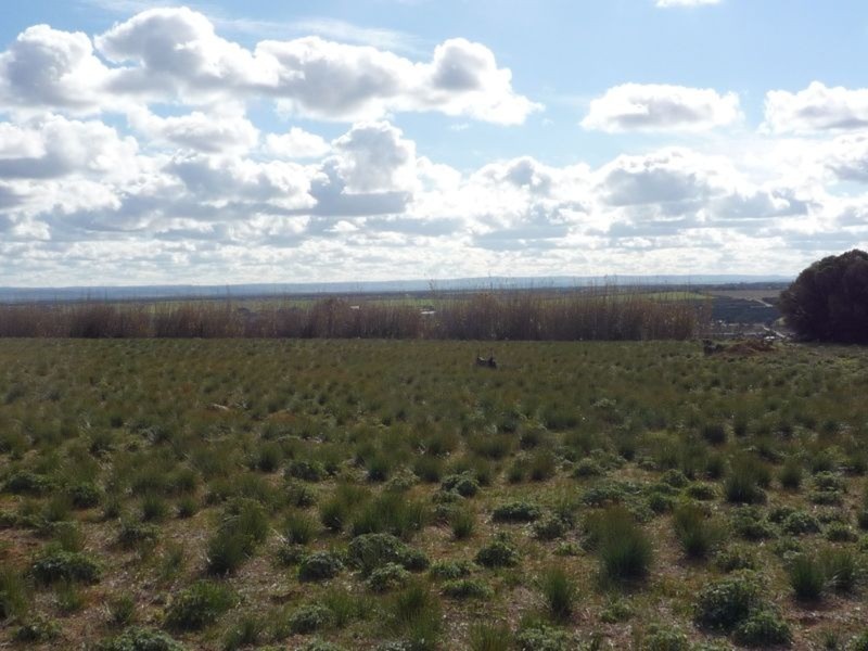 Lot 74 Clifftop Drive, Sunnyside SA 5253