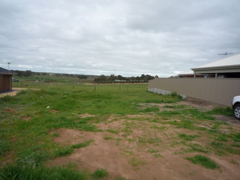 15 Sedge Court, Murray Bridge SA 5253