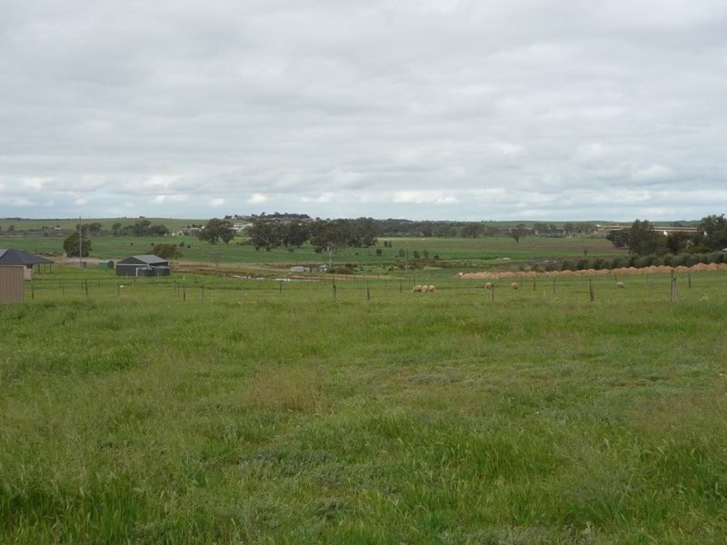 19 Sedge Court, Murray Bridge SA 5253