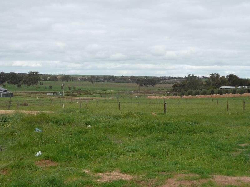 19 Sedge Court, Murray Bridge SA 5253