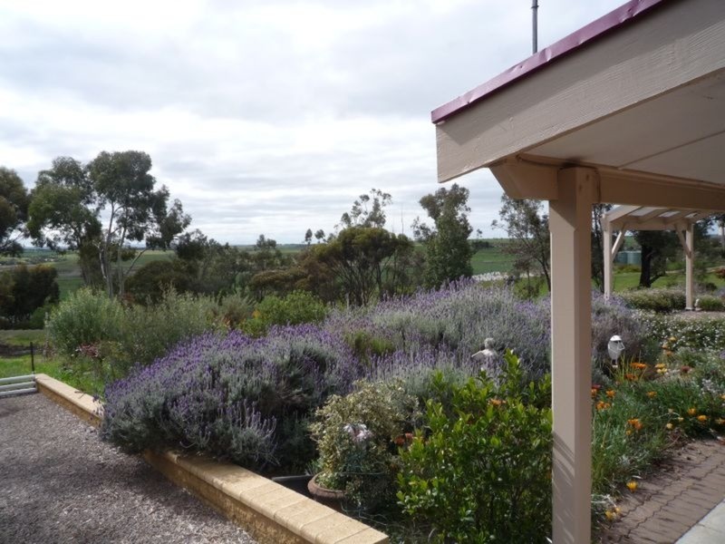2 Campbell Close, Murray Bridge SA 5253