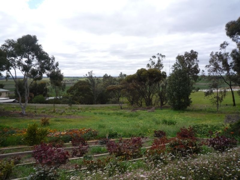 2 Campbell Close, Murray Bridge SA 5253