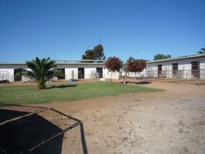 26 Phillips Street, Murray Bridge SA 5253