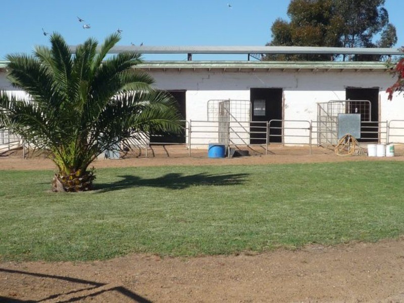 26 Phillips Street, Murray Bridge SA 5253