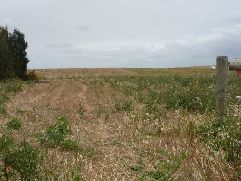 Lot 206 Jervois Road, Jervois SA 5259