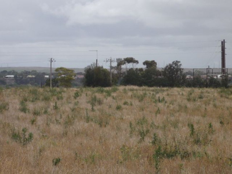Lot 206 Jervois Road, Jervois SA 5259