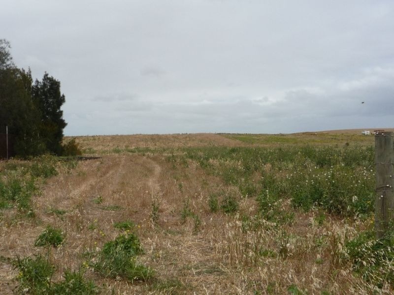 Lot 206 Jervois Road, Jervois SA 5259