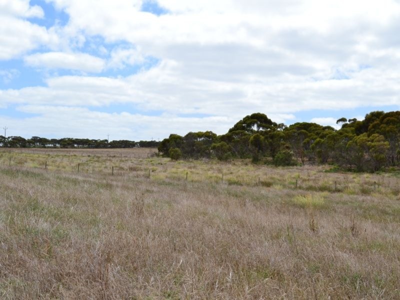 468 Mannum Road, Murray Bridge SA 5253