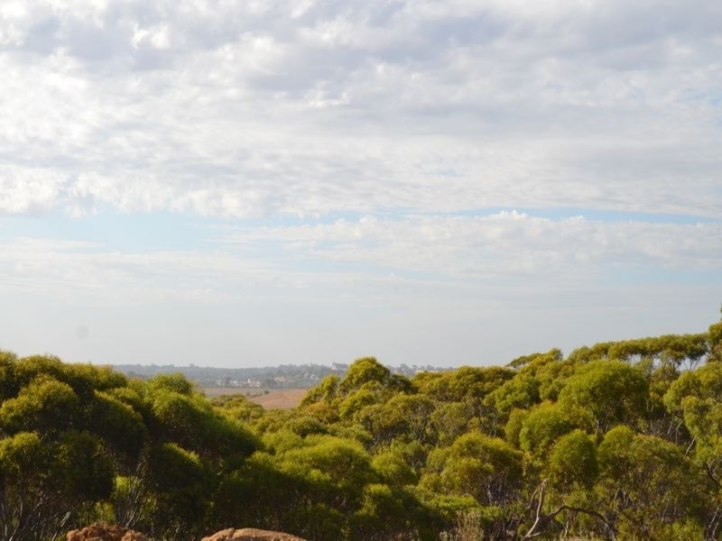 468 Mannum Road, Murray Bridge SA 5253