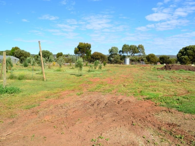 148 Sir John Cowan Avenue, Murray Bridge SA 5253