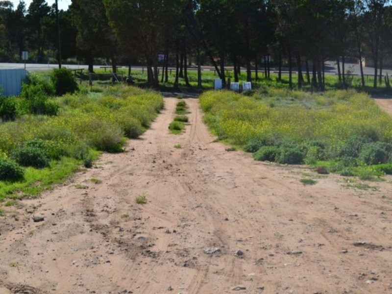 17 Mannum Road, Murray Bridge SA 5253