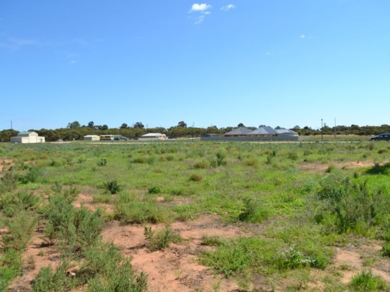 1 Sherlock Road, Karoonda SA 5307