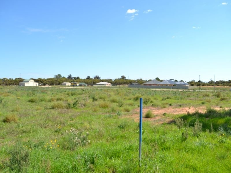1 Sherlock Road, Karoonda SA 5307