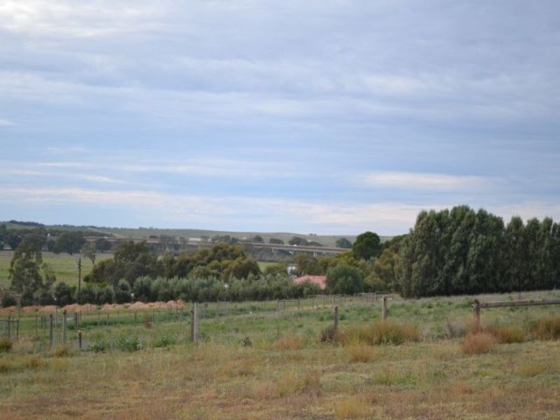 24 & 24 Waterlily Terrace, Murray Bridge SA 5253