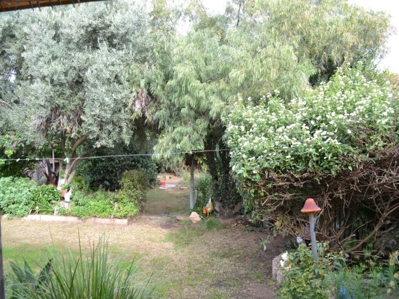 21 Myall Avenue, Murray Bridge SA 5253