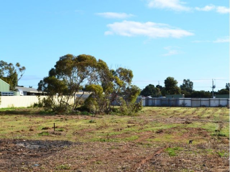 17A Prosperity Grove, Murray Bridge SA 5253