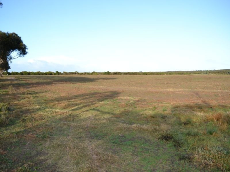 204 Old Swanport Road, Murray Bridge SA 5253