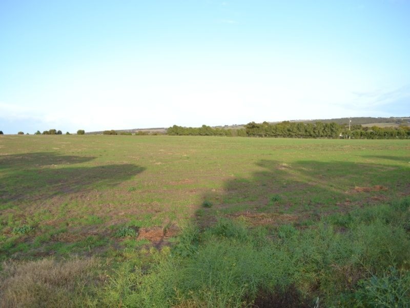 214 Old Swanport Road, Murray Bridge SA 5253