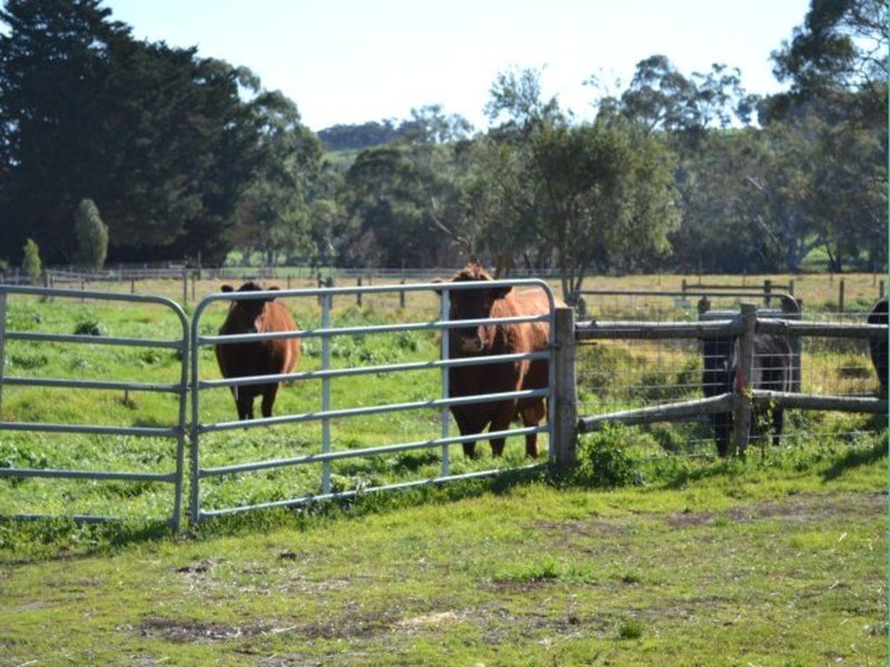 lot 30 Blockers Road, Myponga SA 5202