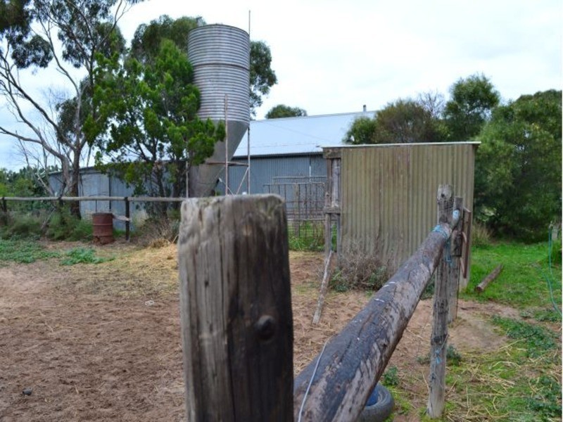 99 Prosperity Grove, Murray Bridge SA 5253