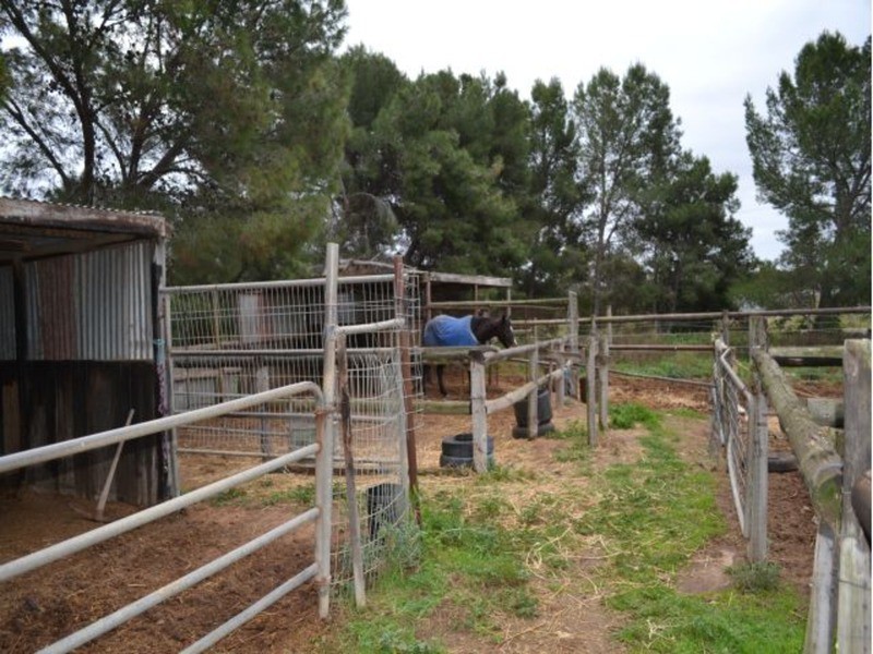 99 Prosperity Grove, Murray Bridge SA 5253