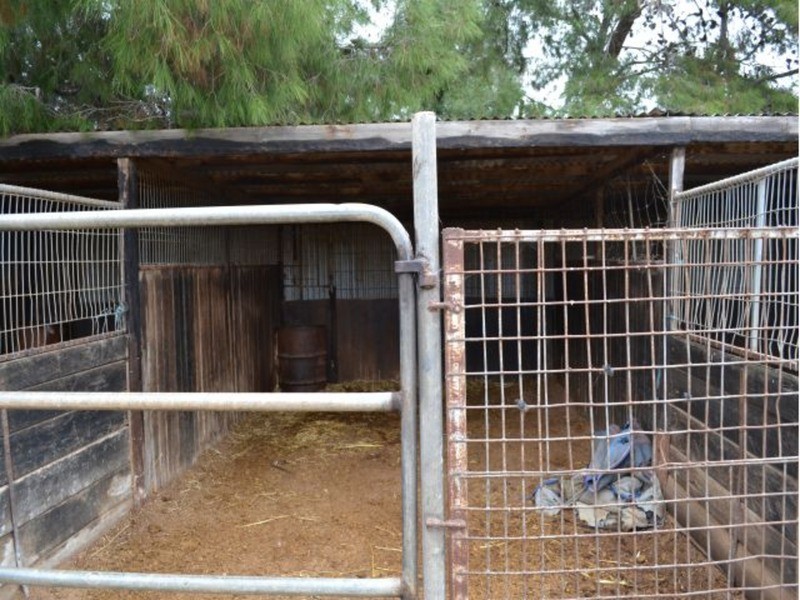 99 Prosperity Grove, Murray Bridge SA 5253