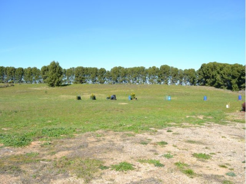 Lot 50 Bruce Road, Karoonda SA 5307
