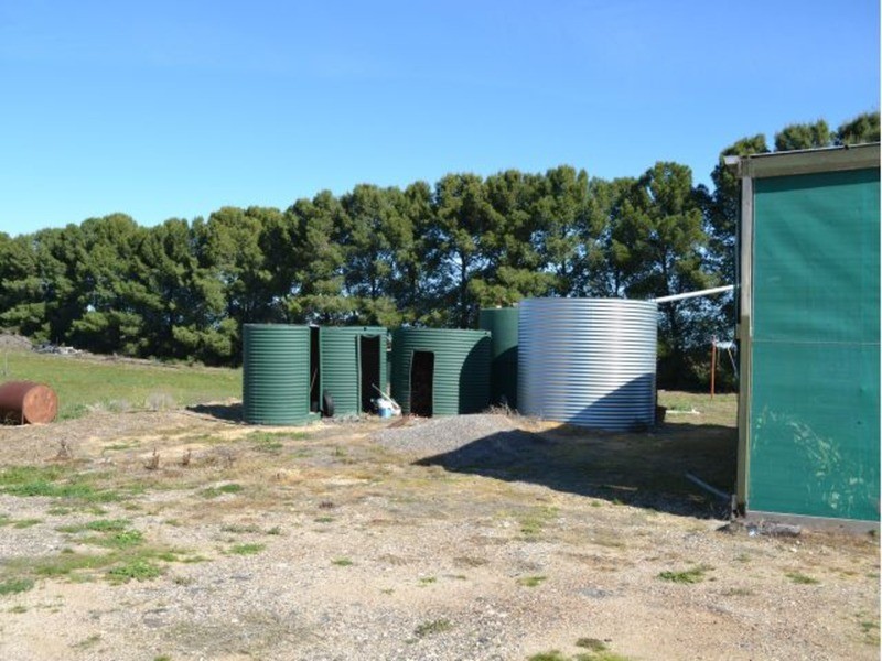 Lot 50 Bruce Road, Karoonda SA 5307