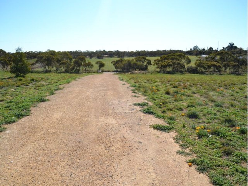 Lot 50 Bruce Road, Karoonda SA 5307