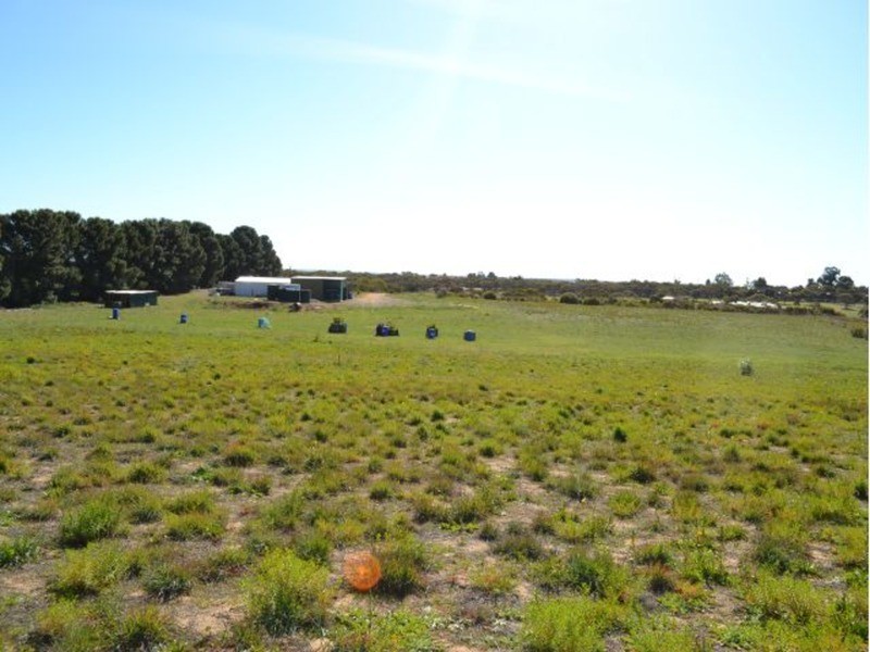 Lot 50 Bruce Road, Karoonda SA 5307