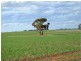 lot 1 Palmer Road, Murray Bridge SA 5253