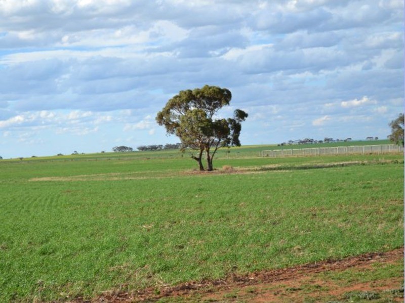 lot 1 Palmer Road, Murray Bridge SA 5253