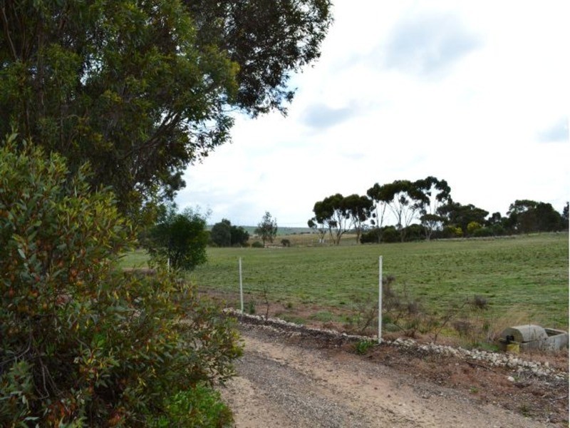 143 Mitchell Avenue, Murray Bridge SA 5253